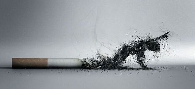 O comportamento do tabaquismo e os seus efectos sobre a saúde